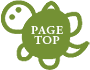 PAGE TOP