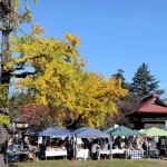 11月のお薬師さんの手づくり市☆