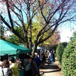 10月の新寺こみち市☆