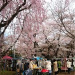 お花見日和のお薬師さんの手づくり市☆